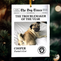 The Meow Times, The Dog Times - Troublemaker Of The Year - Personalized Acrylic Photo Ornament