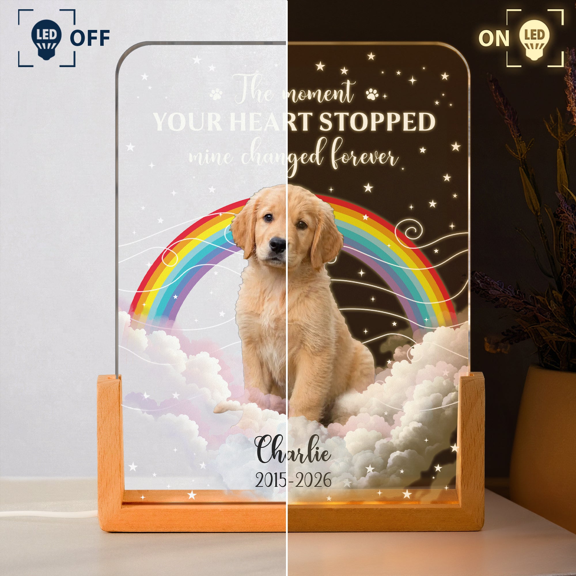 The-Moment-Your-Heart-Stopped-Pet-Memorail-Gift-Personalized-Night-Light-3