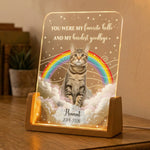 The-Moment-Your-Heart-Stopped-Pet-Memorail-Gift-Personalized-Night-Light-4