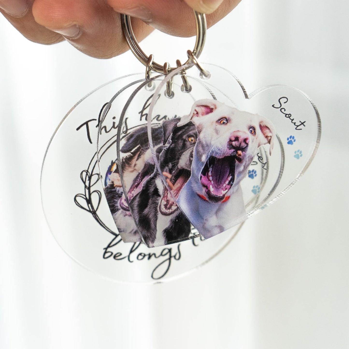 This Human Belongs To - Personalized Acrylic Photo Keychain