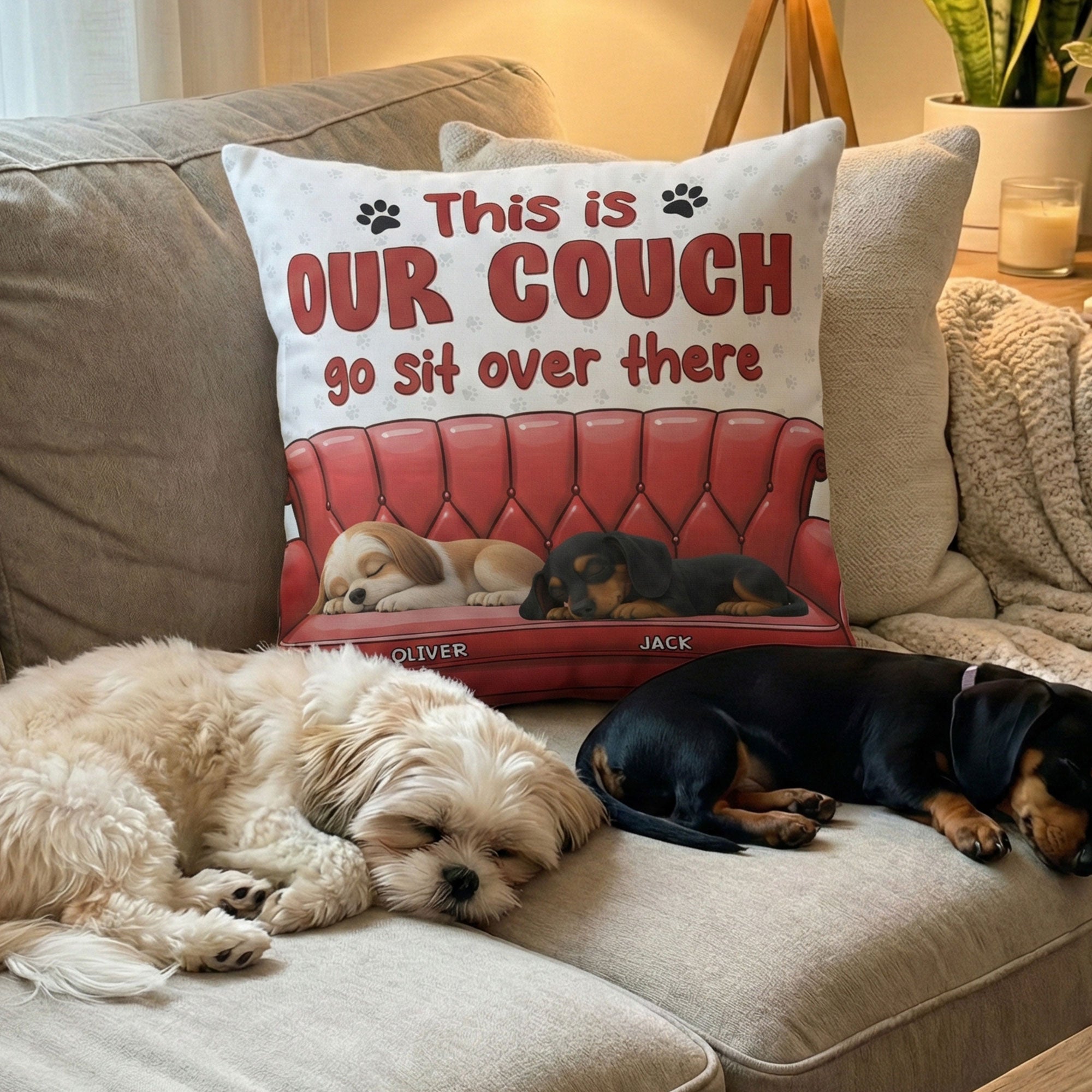 This-Is-My-Couch-Go-Sit-Over-There-3D-Version-Personalized-Pillows-4