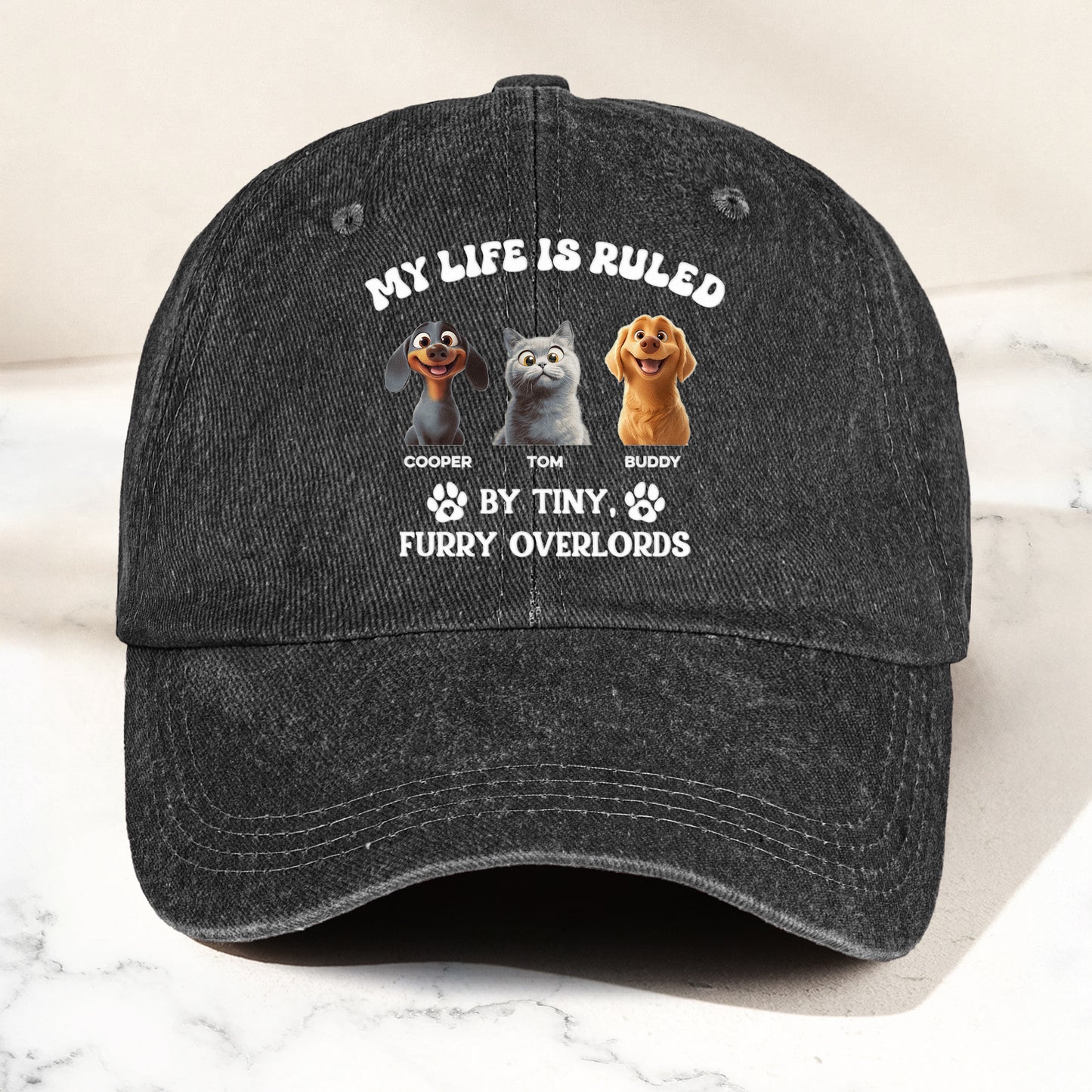 Tiny Furry Overlords - Personalized Distressed Denim Cap