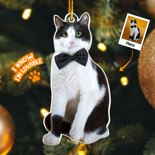 Tuxedo Cat Ornament - Personalized Acrylic Photo Ornament