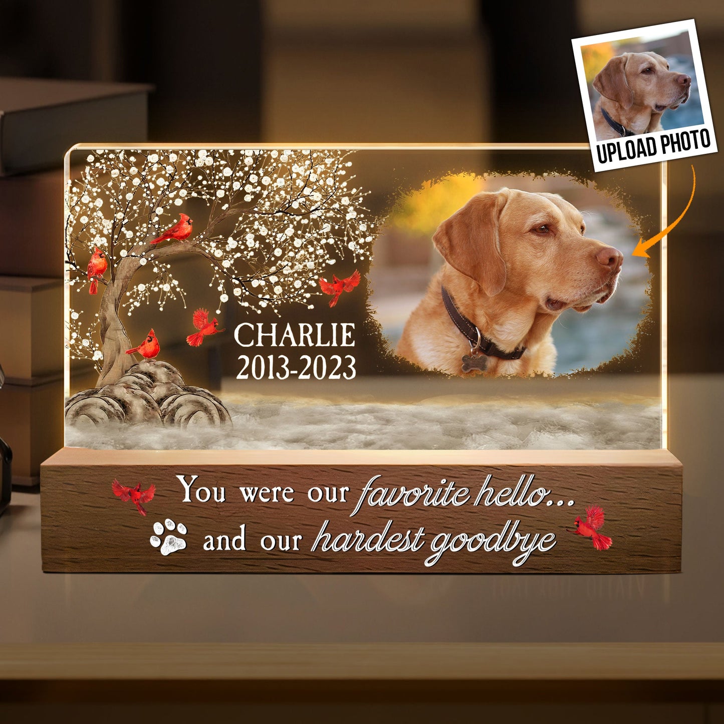 You Were My Favorite Hello And My Hardest Goodbye - Personalized Photo LED Night Light