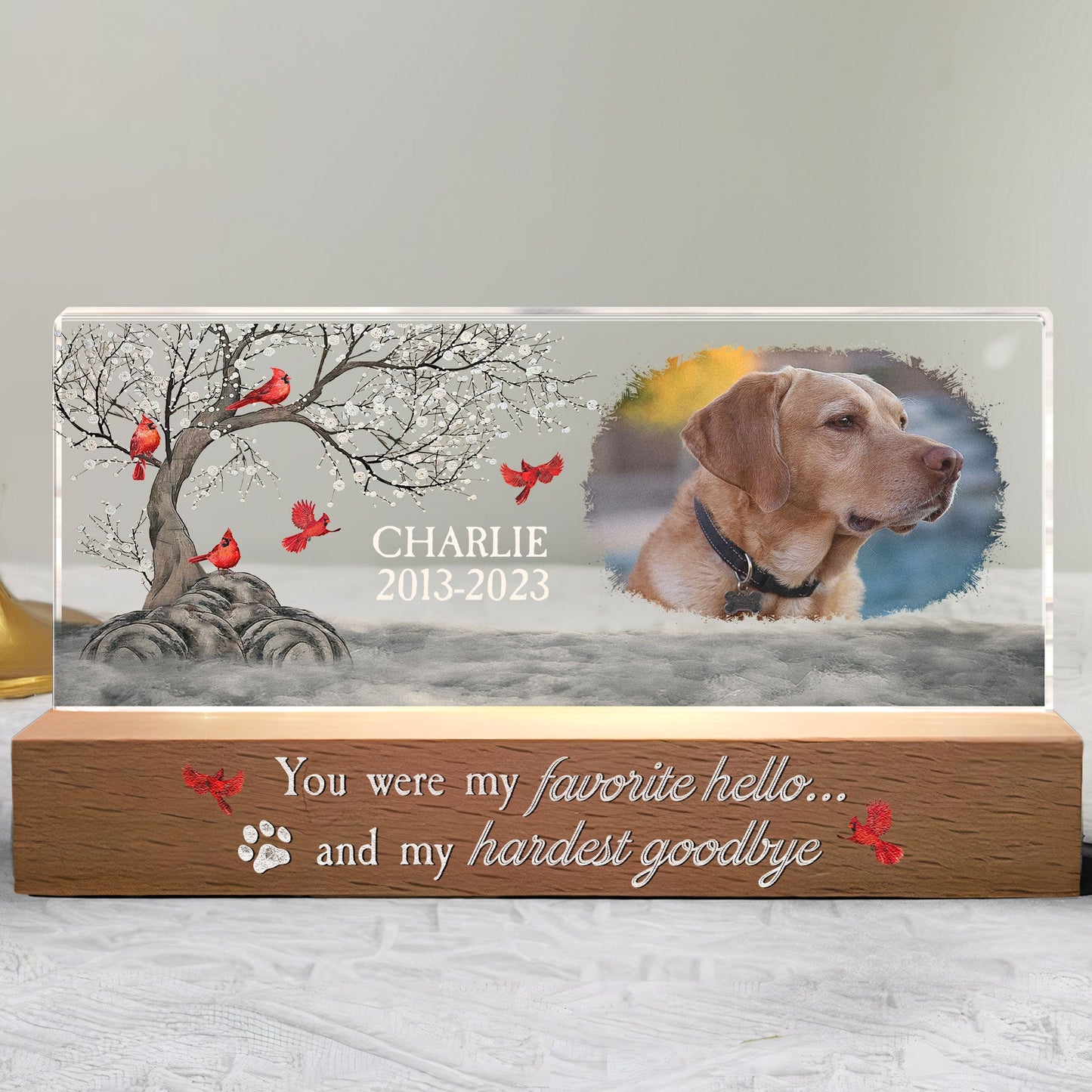 You Were My Favorite Hello And My Hardest Goodbye - Personalized Photo LED Night Light