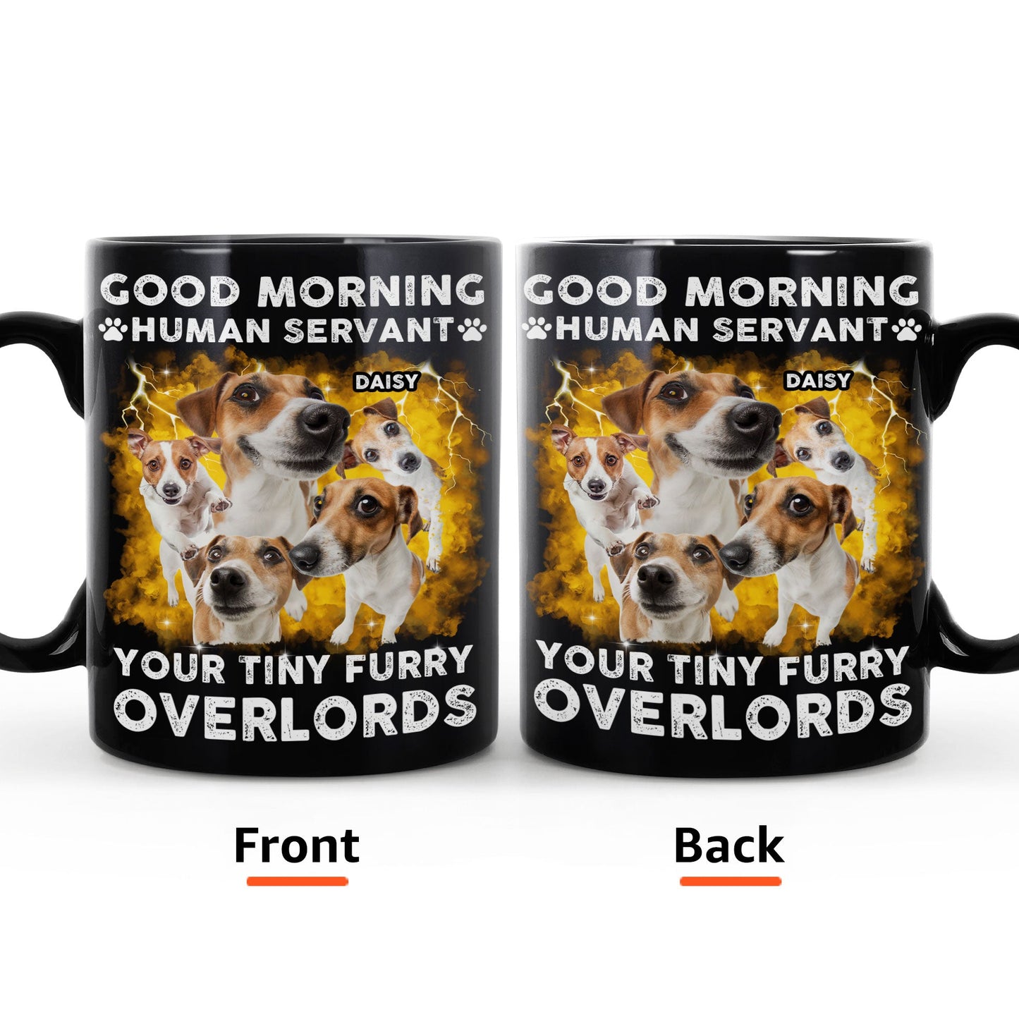 Your Tiny Furry Overlords - Personalized Photo Mug