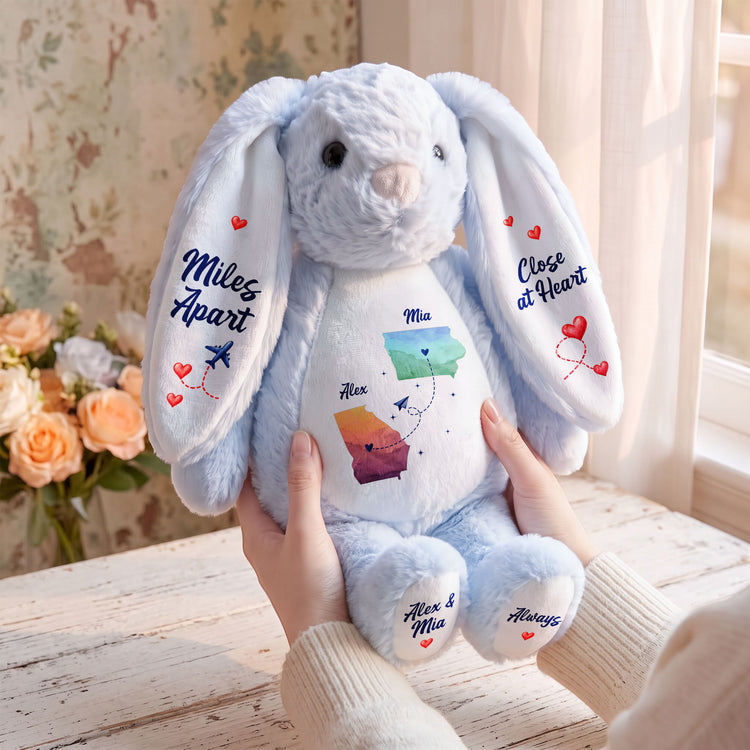 A Hug From A Long Distance Loved One - Personalized Bunny Plush 3