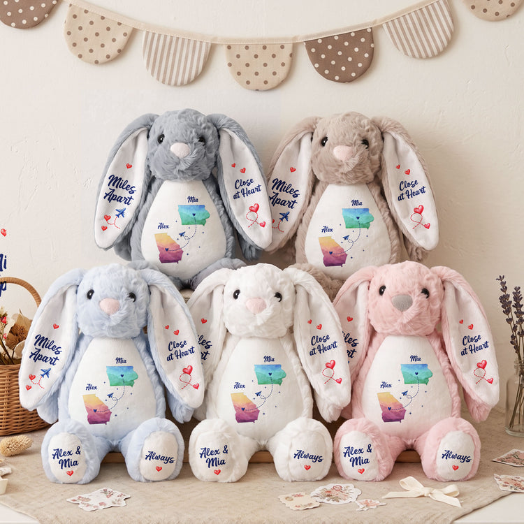 A Hug From A Long Distance Loved One - Personalized Bunny Plush 5