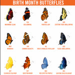 Birth Month Butterfly Gift For Her, Wife, Daughter, Friends, Sister - Personalized Mug 5