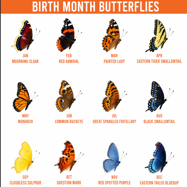 Birth Month Butterfly Gift For Her, Wife, Daughter, Friends, Sister - Personalized Mug 5