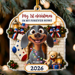 Christmas Gift For Pet Lover First Christmas In Forever Home 2026 American 250Th Anniversary - Personalized Ornament 1