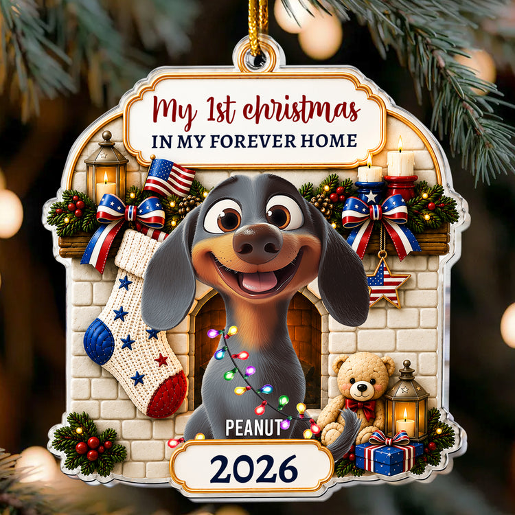 Christmas Gift For Pet Lover First Christmas In Forever Home 2026 American 250Th Anniversary - Personalized Ornament 1