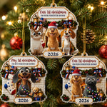Christmas Gift For Pet Lover First Christmas In Forever Home 2026 American 250Th Anniversary - Personalized Ornament 2