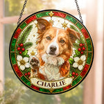 Custom Pet Christmas Decor Stained Glass Art - Personalized Window Hanging Suncatcher 2