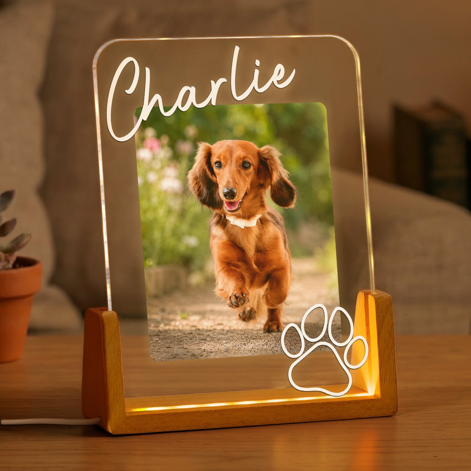 Custom Pet Memorial Frame - Personalized Night Light 1