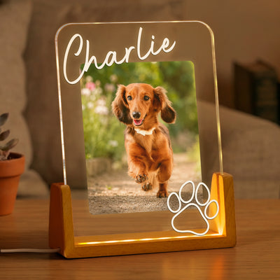 Custom Pet Memorial Frame - Personalized Night Light