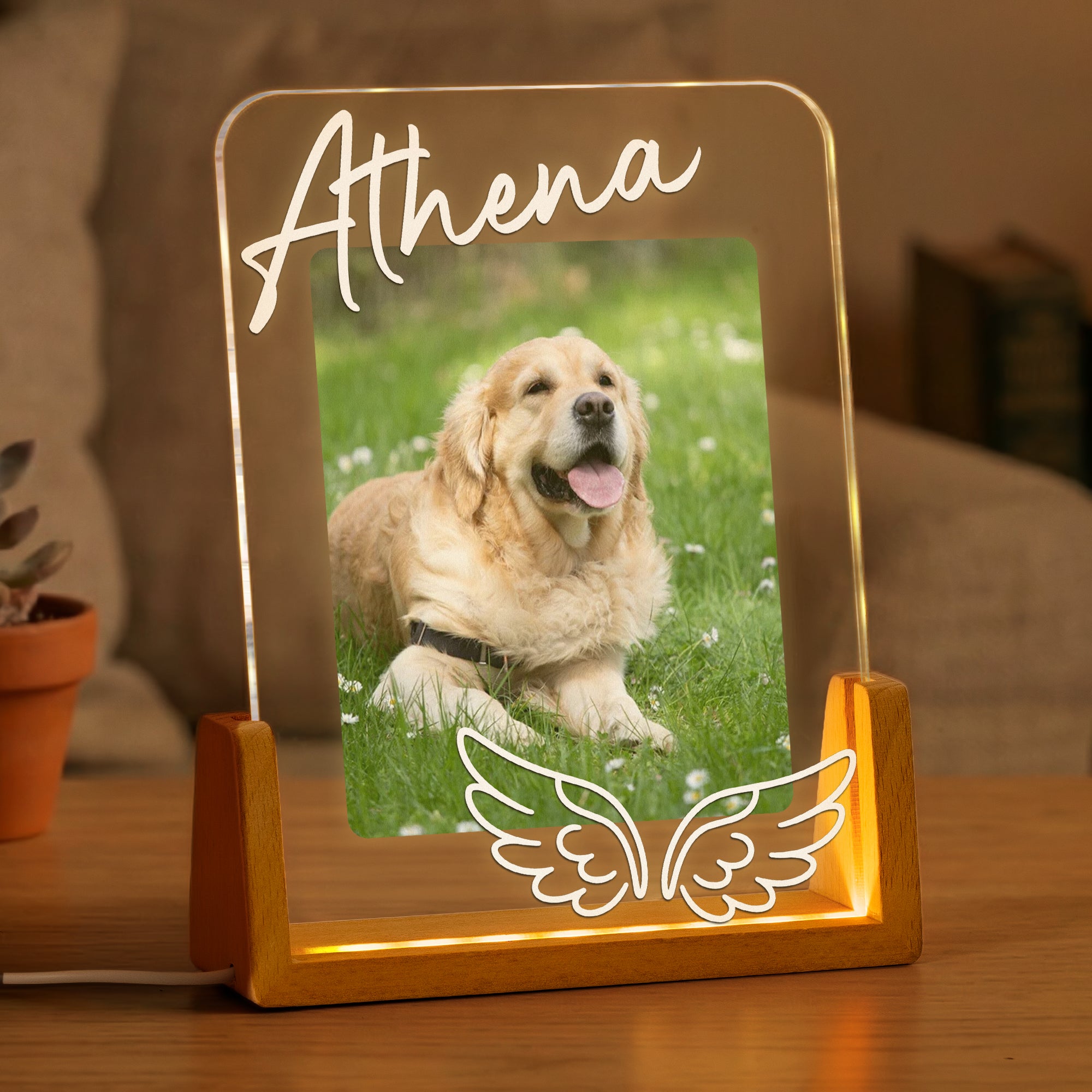 Custom Pet Memorial Frame - Personalized Night Light 2