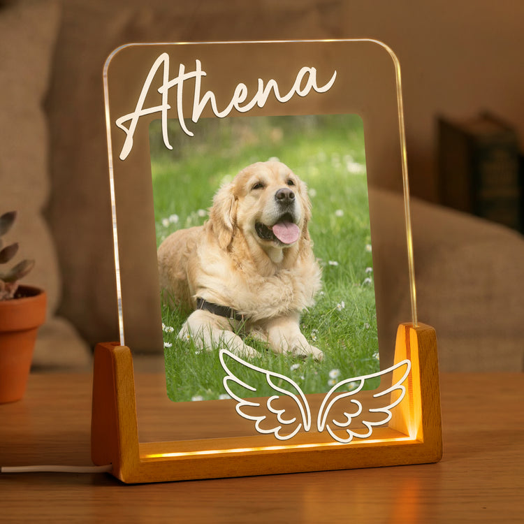 Custom Pet Memorial Frame - Personalized Night Light 2