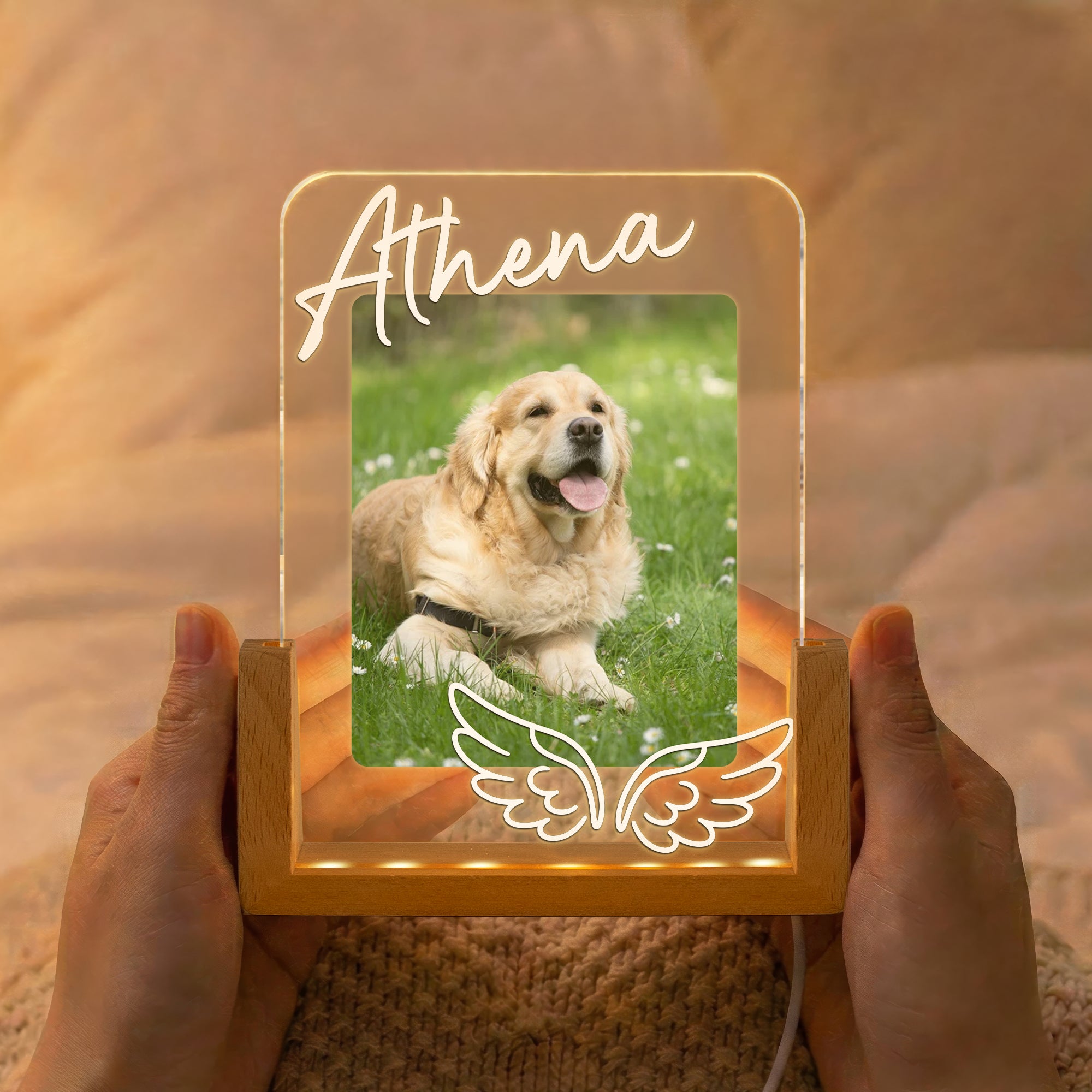 Custom Pet Memorial Frame - Personalized Night Light 3