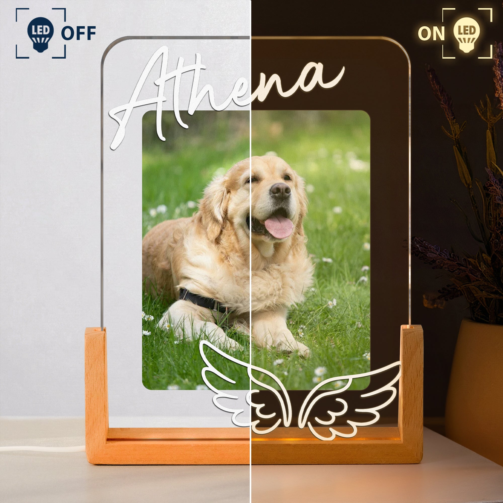 Custom Pet Memorial Frame - Personalized Night Light 4