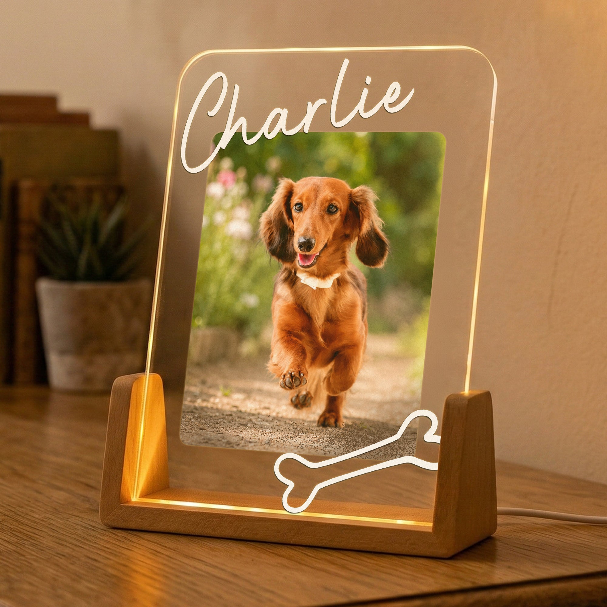 Custom Pet Memorial Frame - Personalized Night Light 5
