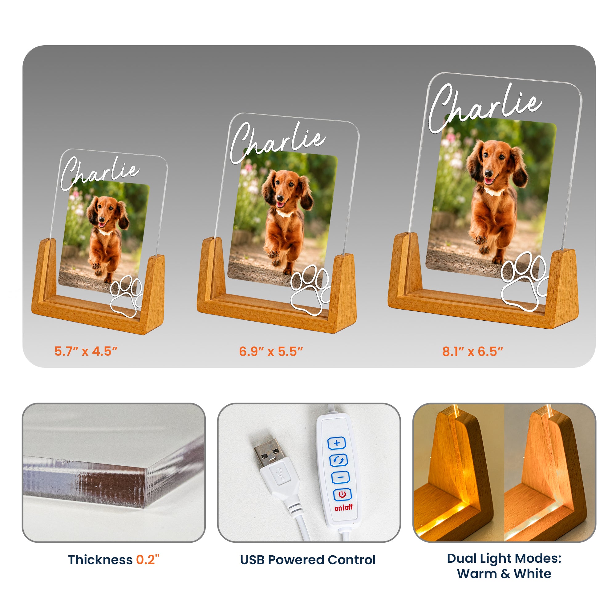 Custom Pet Memorial Frame - Personalized Night Light 6