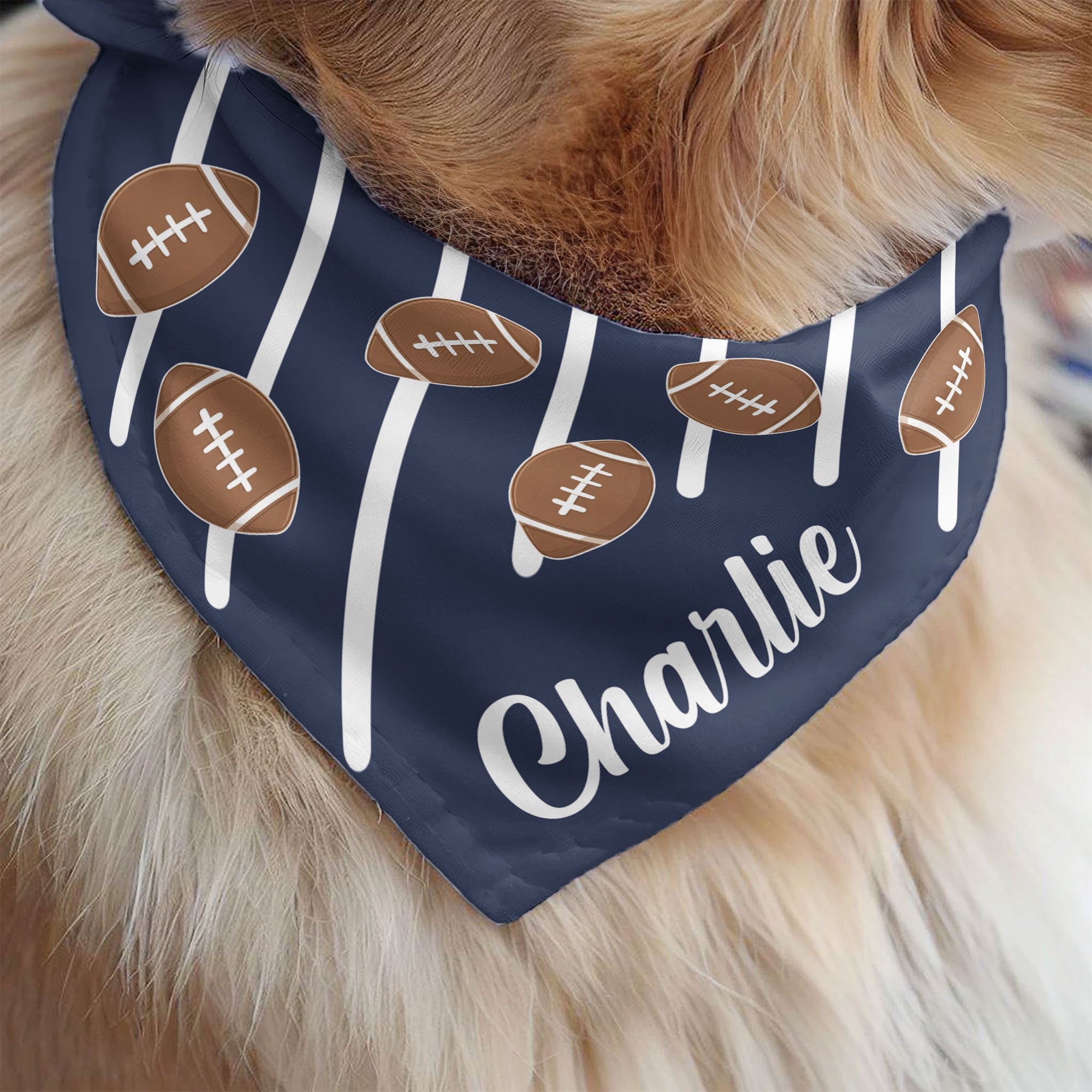 Custom Pet Name Bandana, Gift For Sport Lover - Personalized Bandana Collar 3
