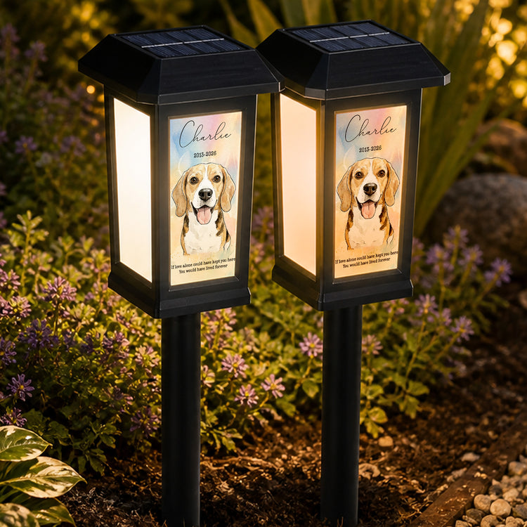 Custom Pet Photo Watercolor Art - Personalized Solar Garden Light 4