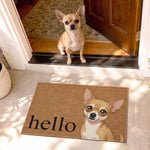Custom Pet Portrait Cartoon Style - Personalized Doormat 1