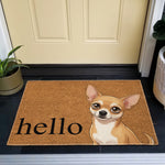 Custom Pet Portrait Cartoon Style - Personalized Doormat 3