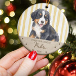 Custom Pet Portrait Memorial, Pet Loss Gift For Pet Lovers - Personalized Ornament 4