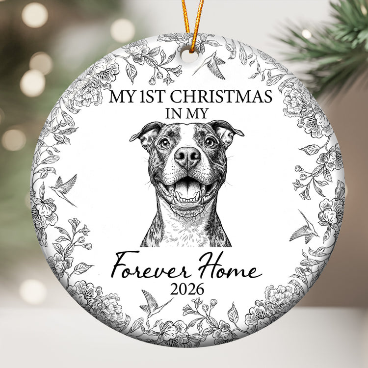 Custom Photo Gift For New Pet Parents Ornament, First Christmas In My Forever Home - Personalized Ornament 2