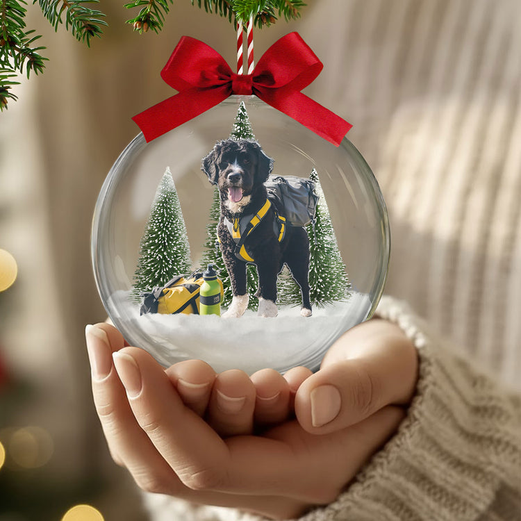 Custom Photo Hiking Snow Ball Ornament, Gift For Hiking Trekking Lover, Mountain Hiking Gift For Hiker, Mountain Climber - Personalized Ornament 3