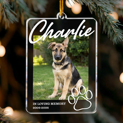 Custom Photo In Loving Memory Pet Memorial - Personalized Ornament