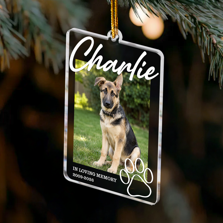 Custom Photo In Loving Memory Pet Memorial - Personalized Ornament 3