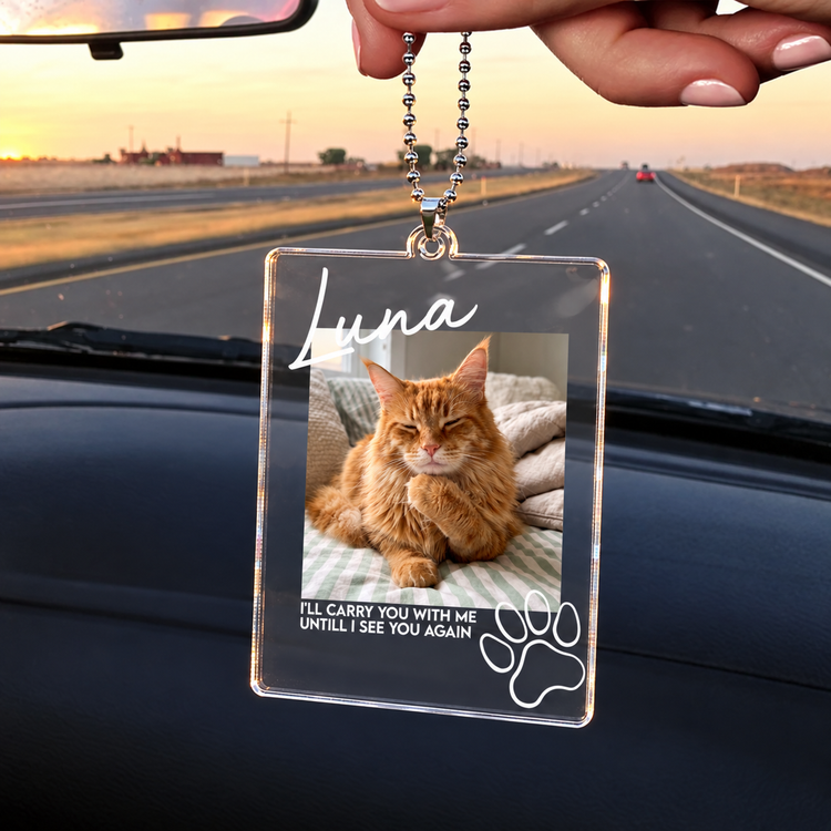 Custom Photo Memorial Pet New Version Pet Loss Gifts - Personalized Rear View Mirror Accessory 3