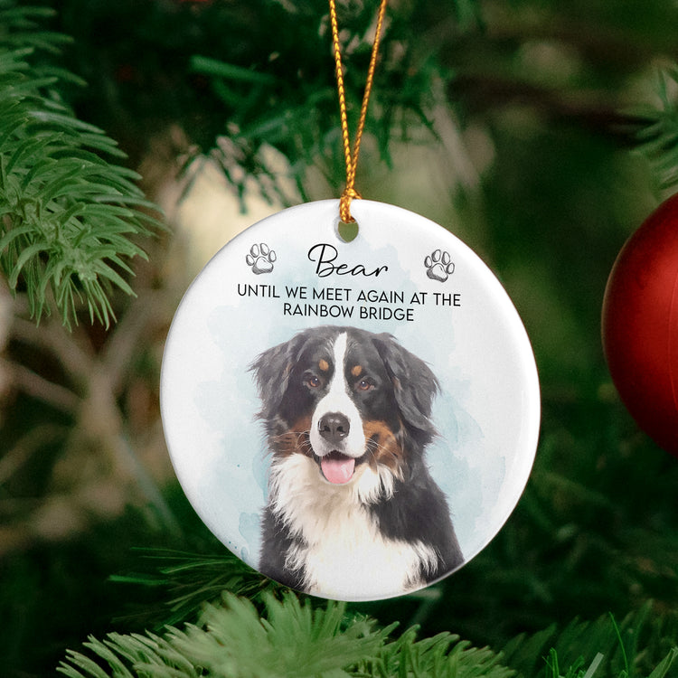 Custom Watercolor Pet Portrait Memorial Pet Loss Gift - Personalized Ornament 4