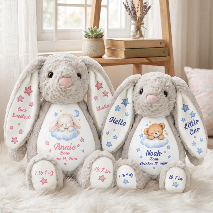 Hello Little One Gift For New Born Baby - Personalized Bunny Plush 3