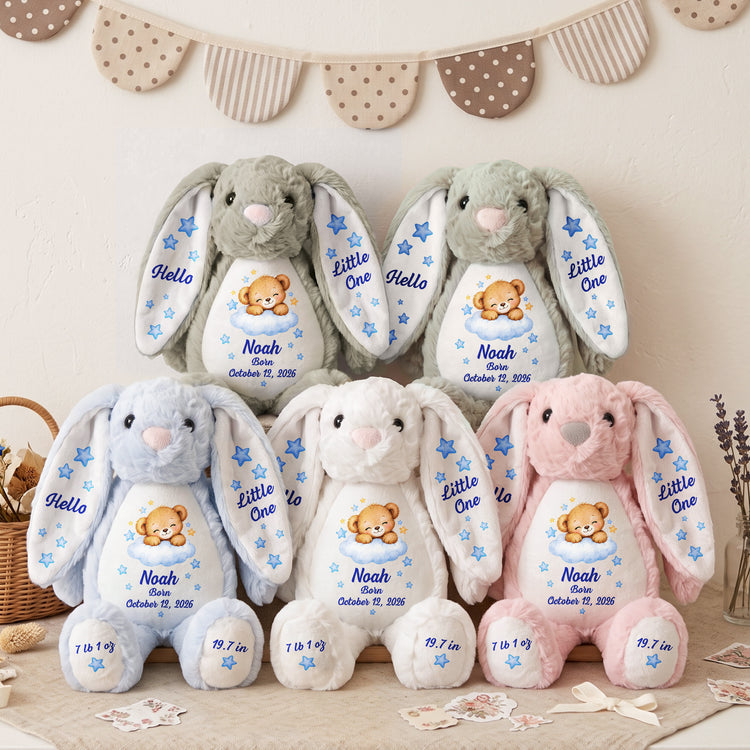 Hello Little One Gift For New Born Baby - Personalized Bunny Plush 4
