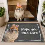 Hope You Like Cats, Dogs - Cartoon Your Pet - Personalized Doormat 1