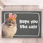 Hope You Like Cats, Dogs - Cartoon Your Pet - Personalized Doormat 3
