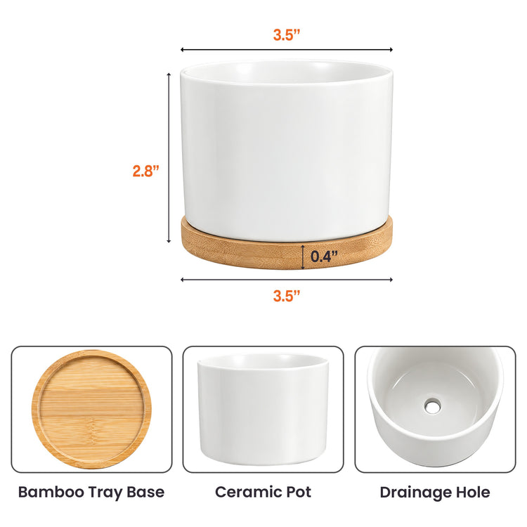 No One Will Ever Be As Entertained By Us As Us - Personalized Plant Pot 4