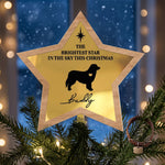 The Brightest Star In The Sky This Christmas, Pet Memorial - Personalized Christmas Tree Topper 1