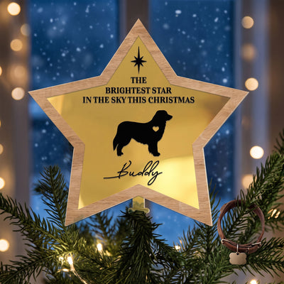 The Brightest Star In The Sky This Christmas, Pet Memorial - Personalized Christmas Tree Topper