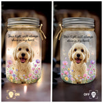 Your Light Will Always Shine In My Heart Pet Loss Gifts Custom Photo - Personalized Night Light 5