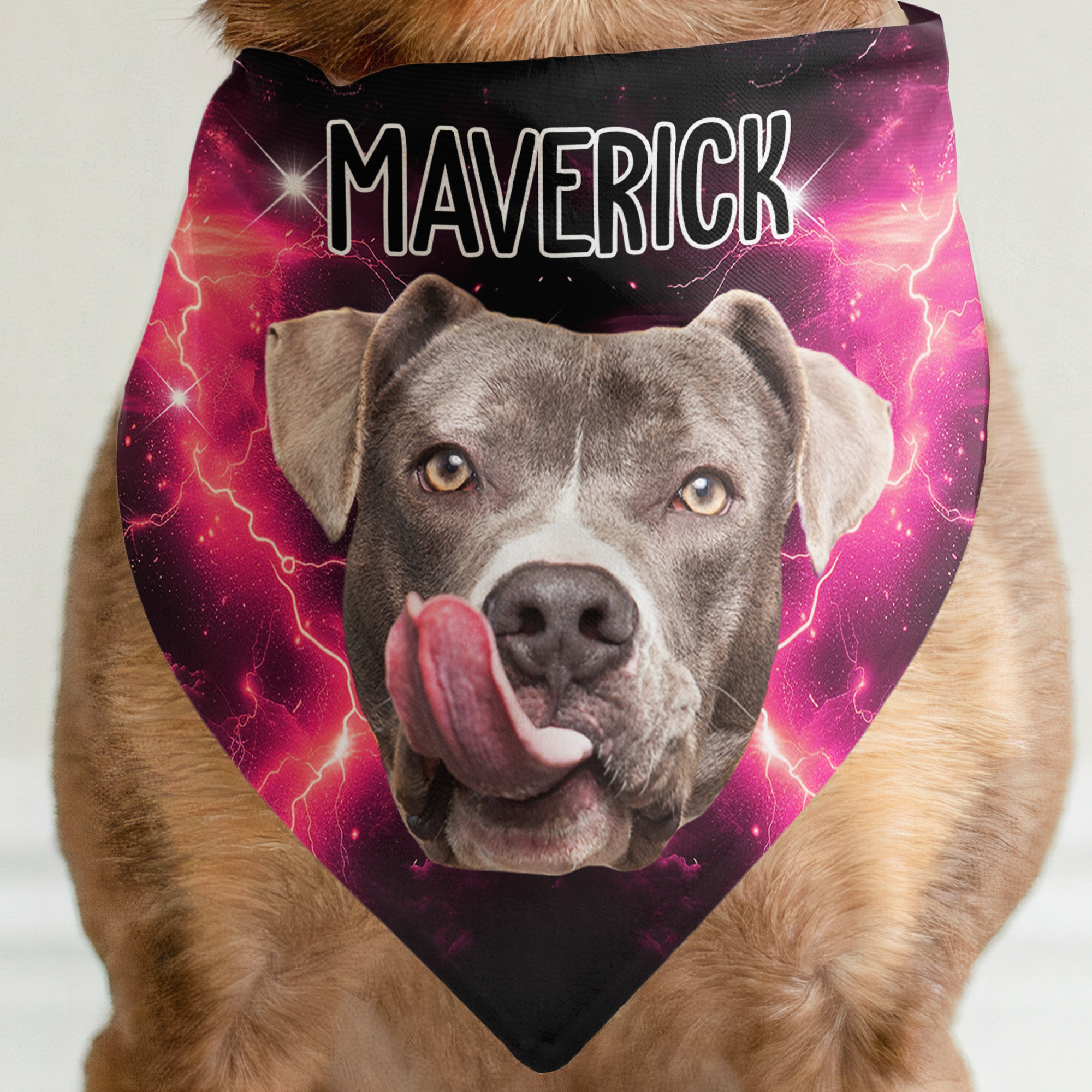 Bootleg Custom Photo Pet - Personalized Photo Dog Bandana Collar