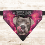Bootleg Custom Photo Pet - Personalized Photo Dog Bandana Collar