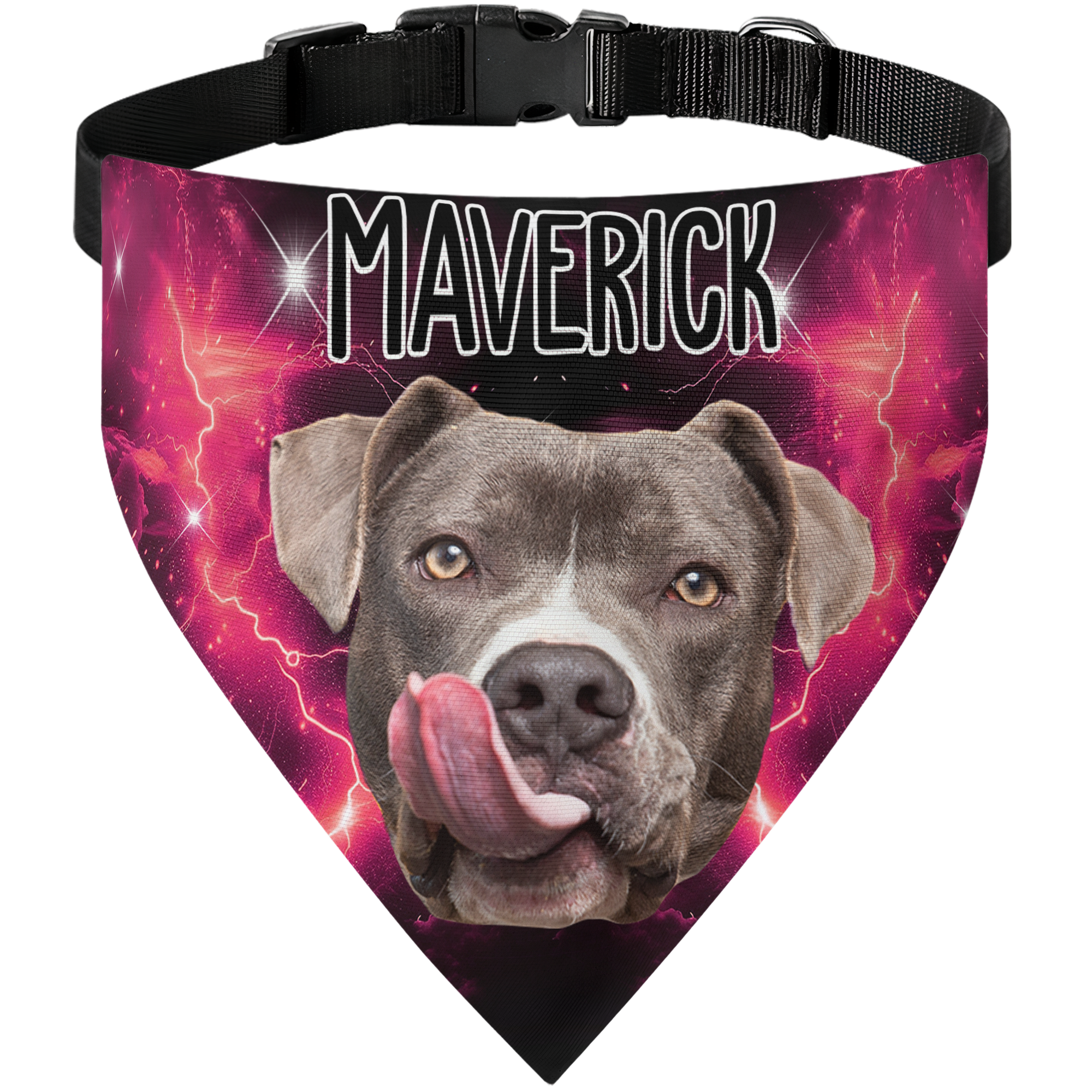 Bootleg Custom Photo Pet - Personalized Photo Dog Bandana Collar