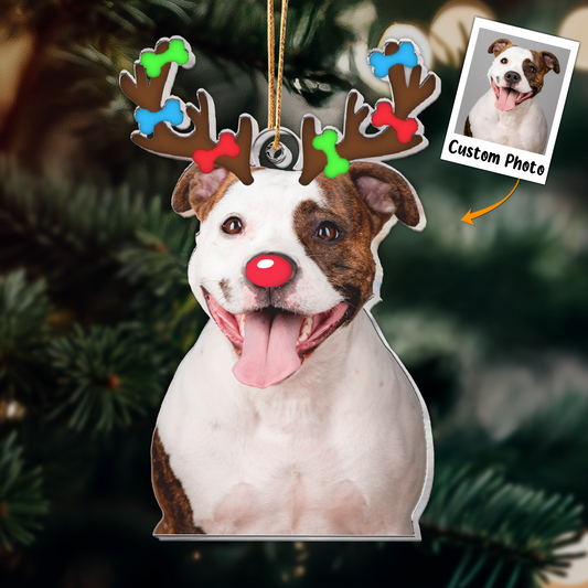 Christmas Reindeer Horn For Pet - Personalized Acrylic Photo Ornament