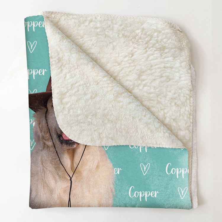 Colorful Lovely Lettering - Pet Version - Personalized Photo Blanket
